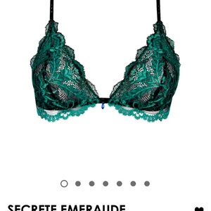 STEAL!! NWT Lise Charmel Bra, Secrete Emeraude, M